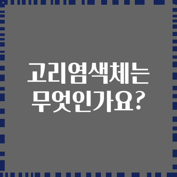 고리염색체는 무엇인가요?