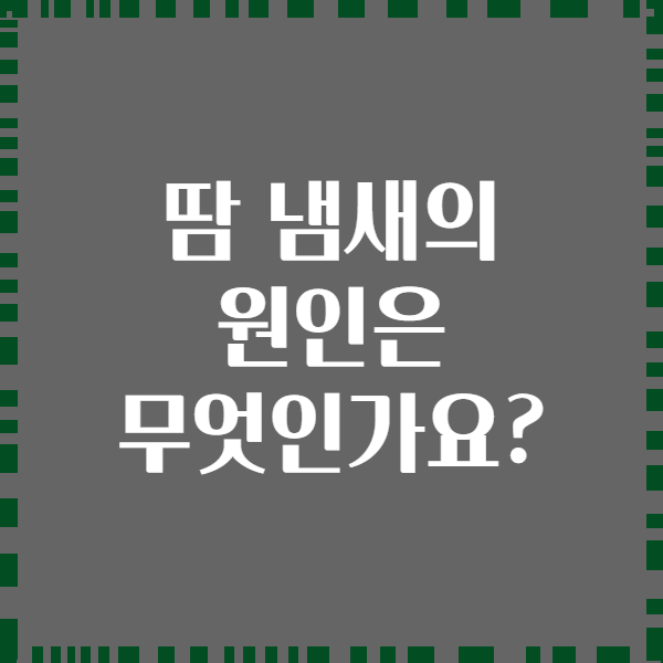 땀 냄새의 원인은 무엇인가요?