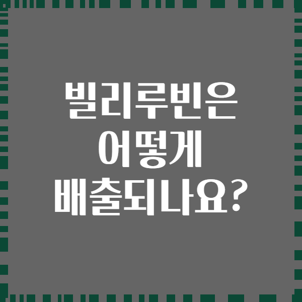 빌리루빈은 어떻게 배출되나요?