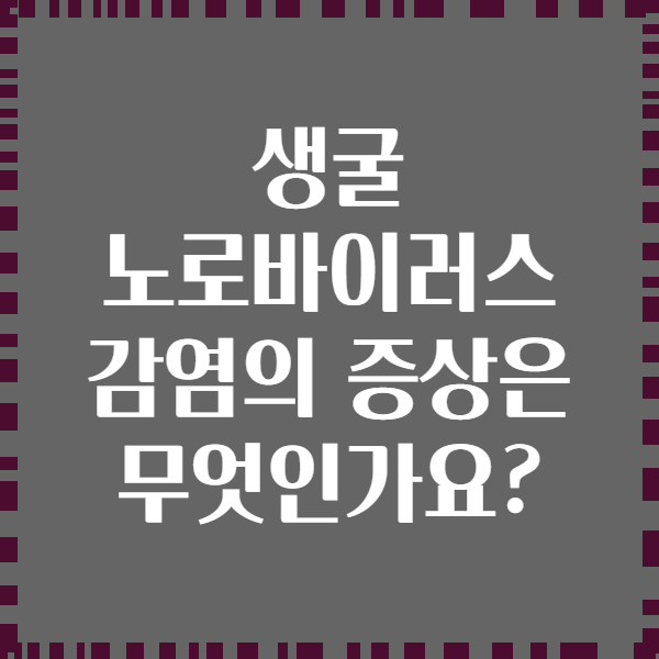생굴 노로바이러스 감염의 증상은 무엇인가요?