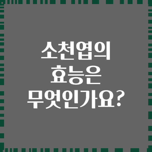소천엽의 효능은 무엇인가요?