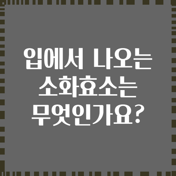 입에서 나오는 소화효소는 무엇인가요?