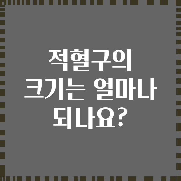 적혈구의 크기는 얼마나 되나요?
