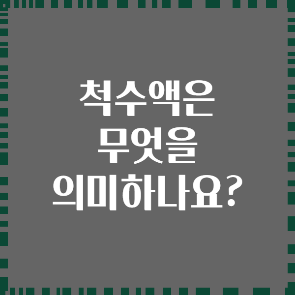 척수액은 무엇을 의미하나요?