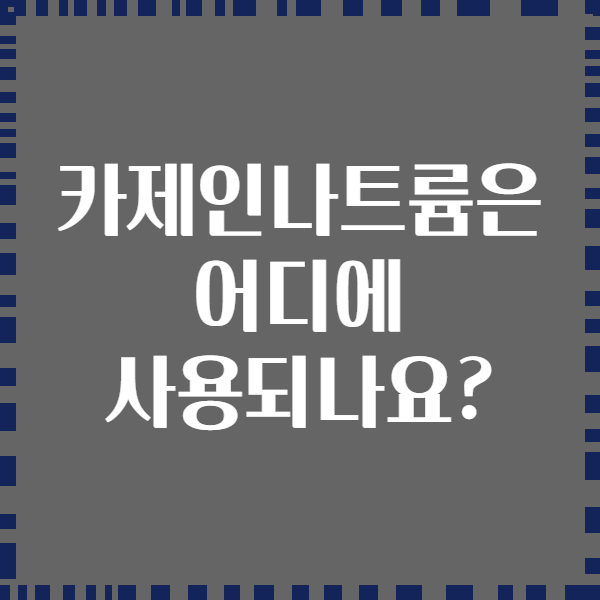 카제인나트륨은 어디에 사용되나요?