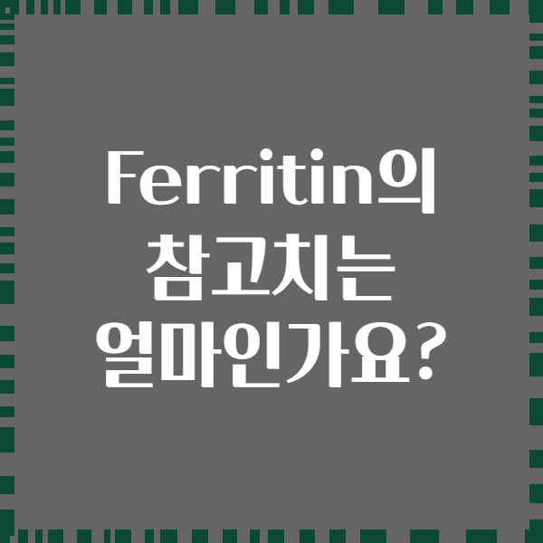 Ferritin의 참고치는 얼마인가요?