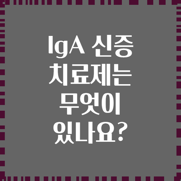 IgA 신증 치료제는 무엇이 있나요?