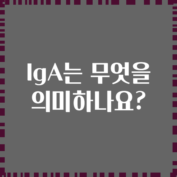 IgA는 무엇을 의미하나요?