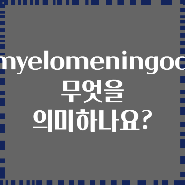 Lipomyelomeningocele는 무엇을 의미하나요?