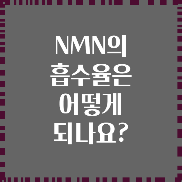 NMN의 흡수율은 어떻게 되나요?