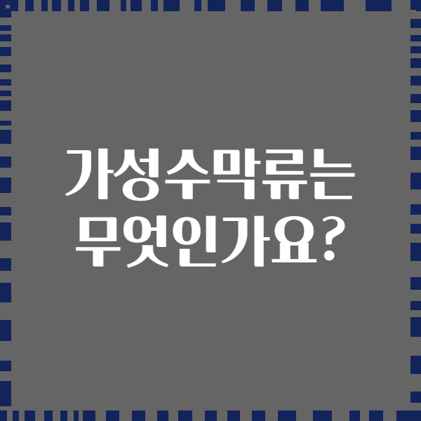 가성수막류는 무엇인가요?