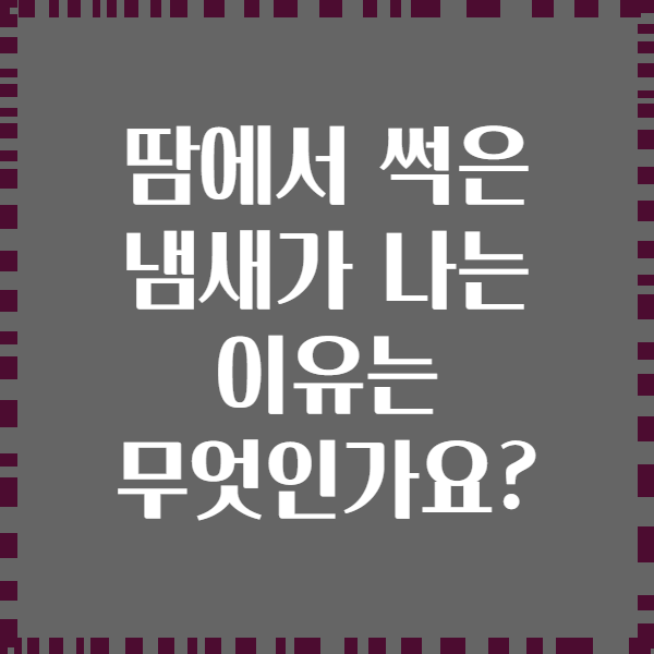 땀에서 썩은 냄새가 나는 이유는 무엇인가요?
