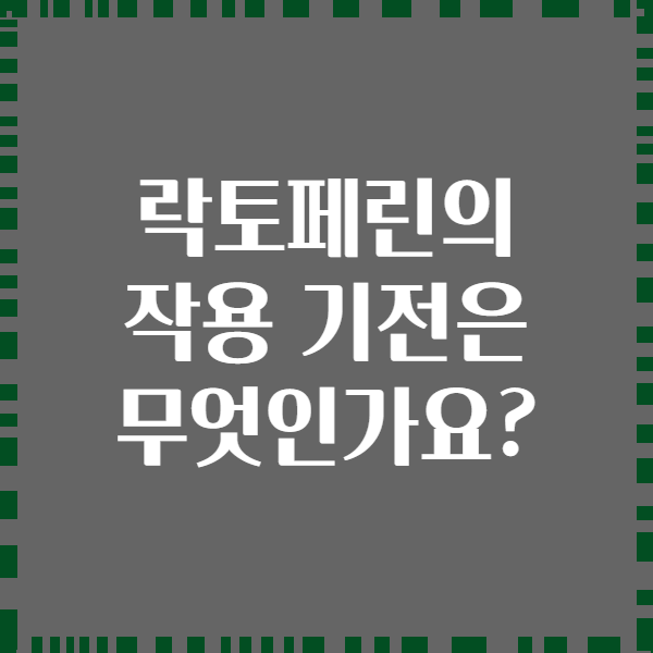 락토페린의 작용 기전은 무엇인가요?