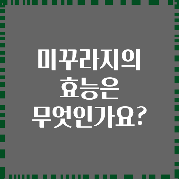 미꾸라지의 효능은 무엇인가요?
