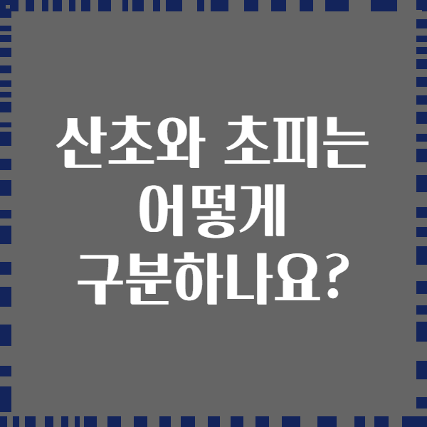 산초와 초피는 어떻게 구분하나요?