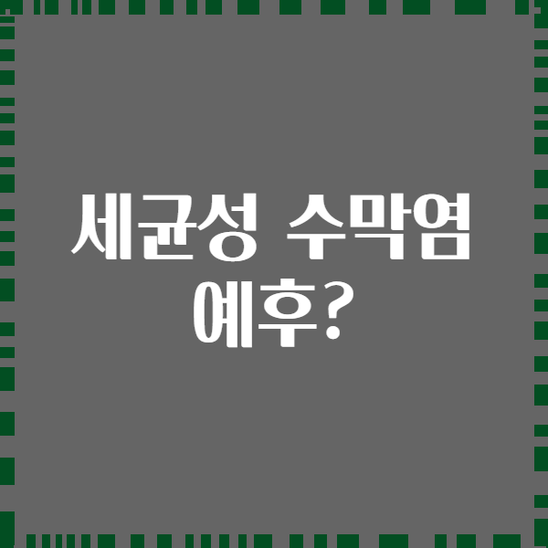 세균성 수막염 예후?