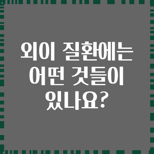 외이 질환에는 어떤 것들이 있나요?