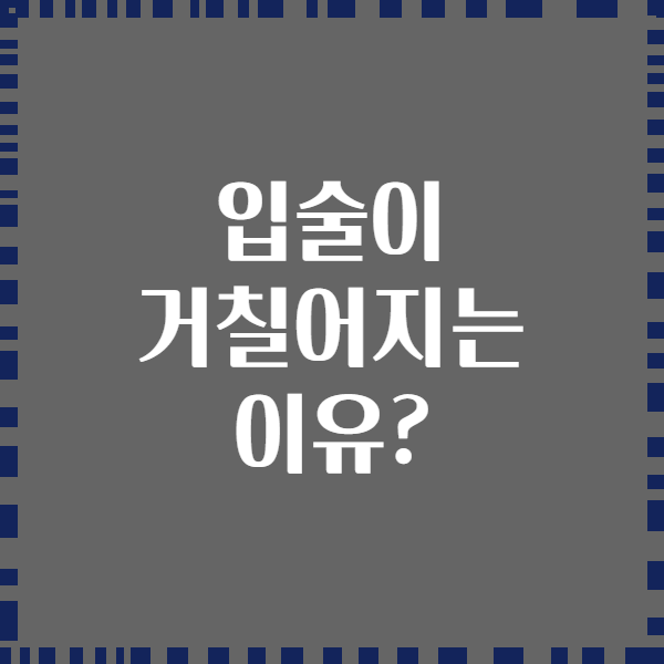 입술이 거칠어지는 이유?