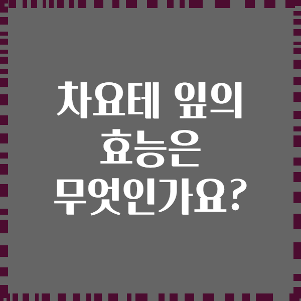 차요테 잎의 효능은 무엇인가요?
