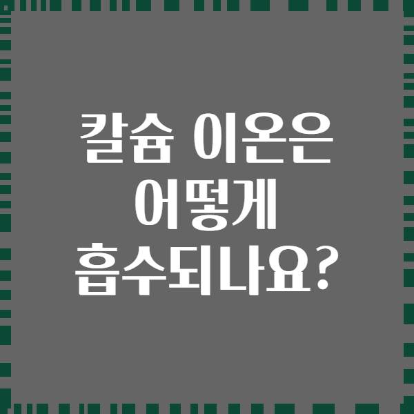 칼슘 이온은 어떻게 흡수되나요?