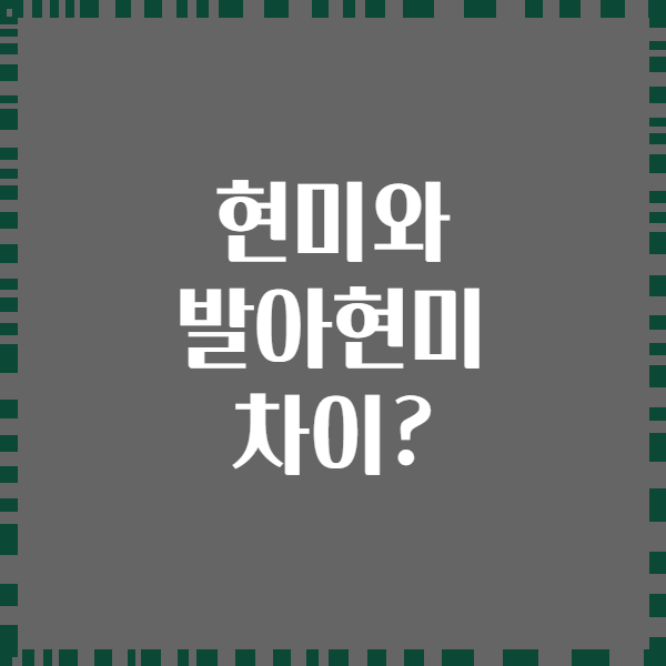 현미와 발아현미 차이?