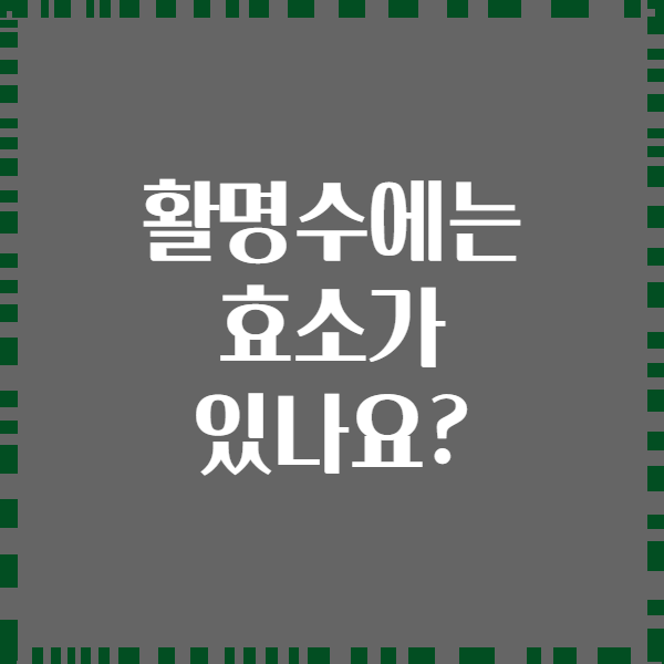 활명수에는 효소가 있나요?