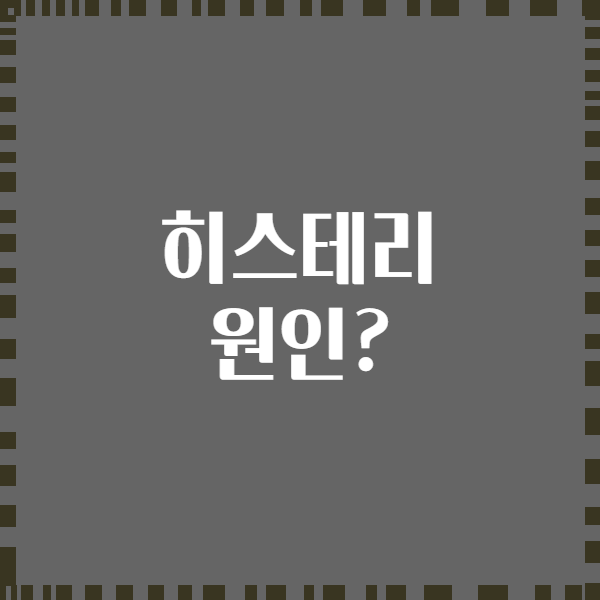 히스테리 원인?