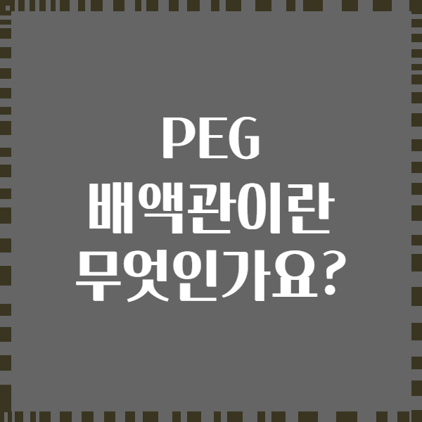 PEG 배액관이란 무엇인가요?