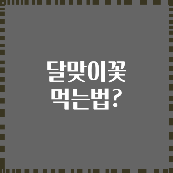 달맞이꽃 먹는법?
