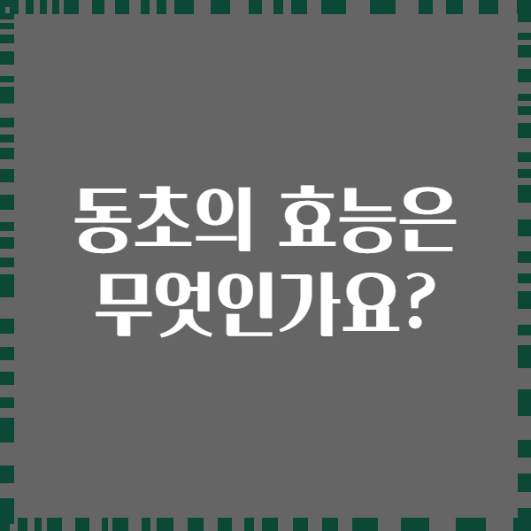 동초의 효능은 무엇인가요?