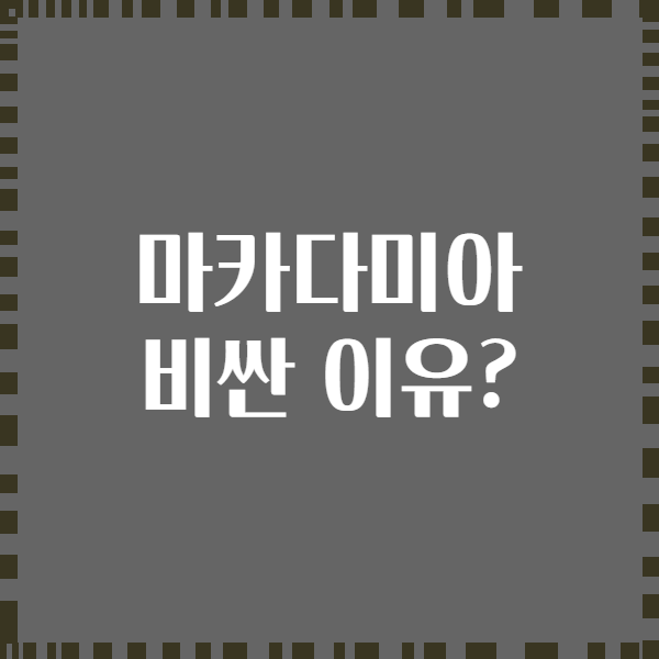 마카다미아 비싼 이유?