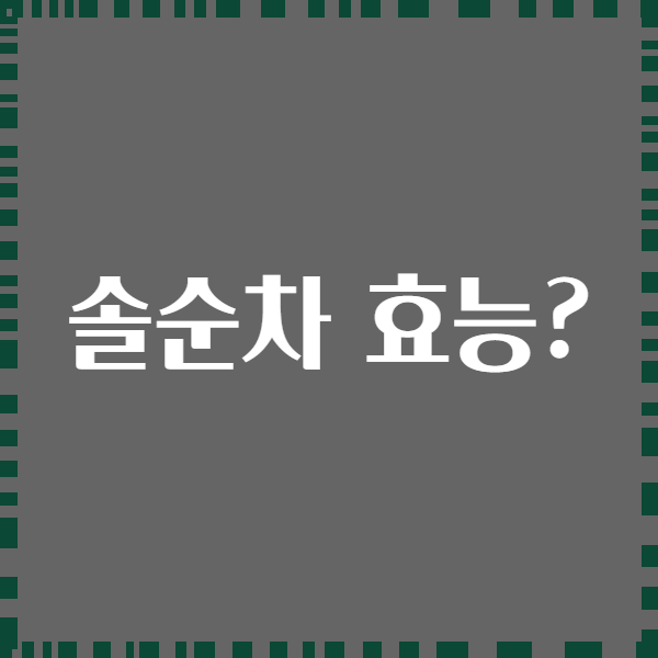 솔순차 효능?