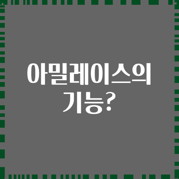 아밀레이스의 기능?