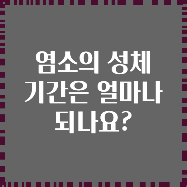 염소의 성체 기간은 얼마나 되나요?
