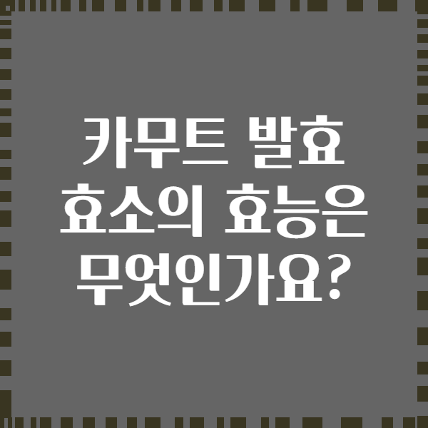 카무트 발효 효소의 효능은 무엇인가요?