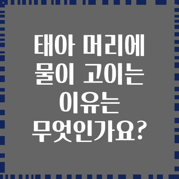 태아 머리에 물이 고이는 이유는 무엇인가요?