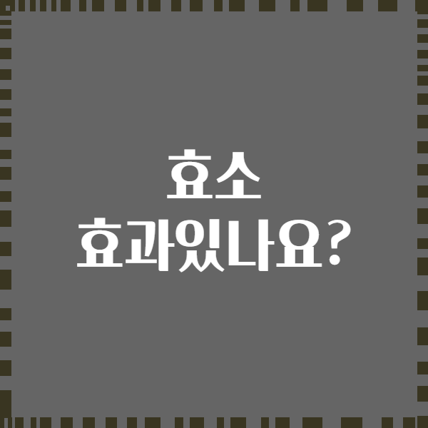 효소 효과있나요?
