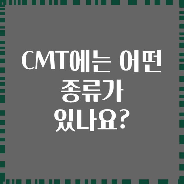 CMT에는 어떤 종류가 있나요?