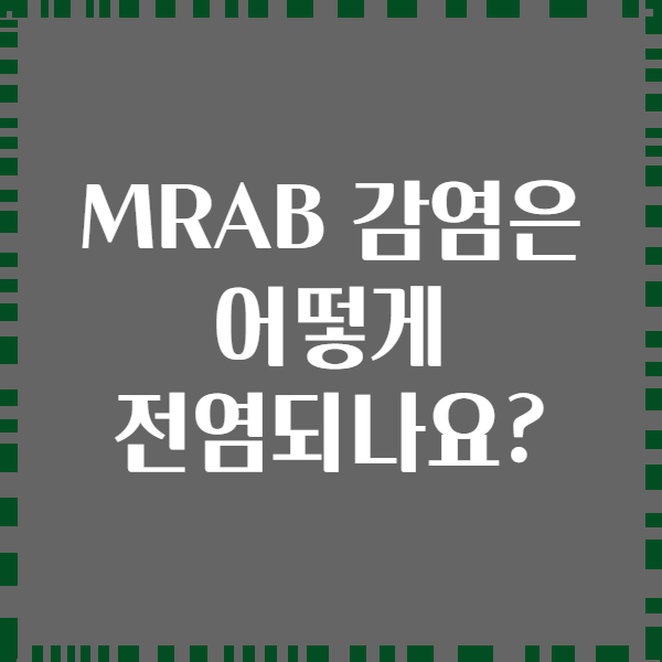 MRAB 감염은 어떻게 전염되나요?