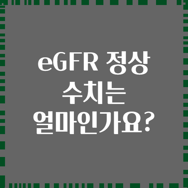 eGFR 정상 수치는 얼마인가요?