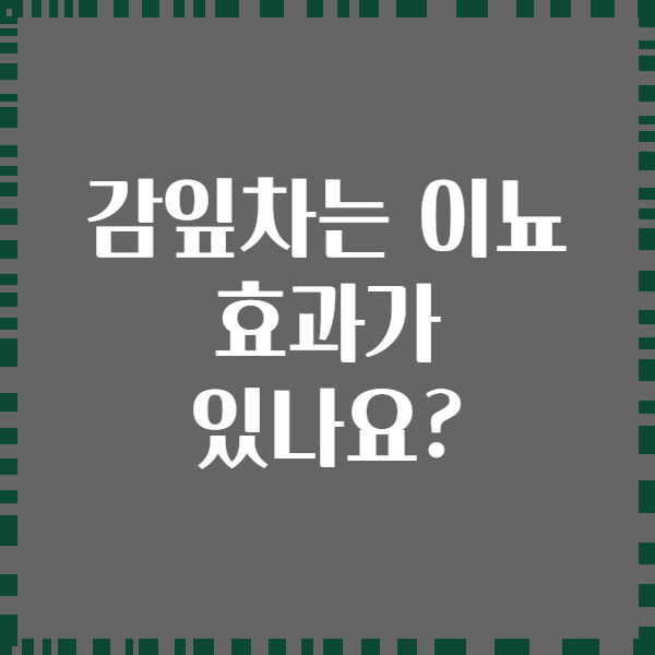 감잎차는 이뇨 효과가 있나요?