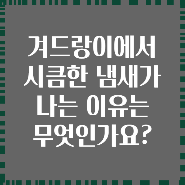 겨드랑이에서 시큼한 냄새가 나는 이유는 무엇인가요?