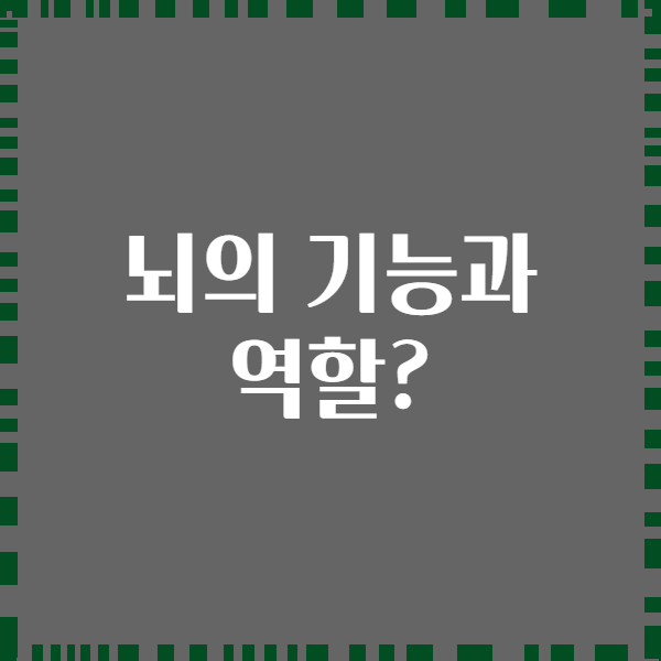뇌의 기능과 역할?