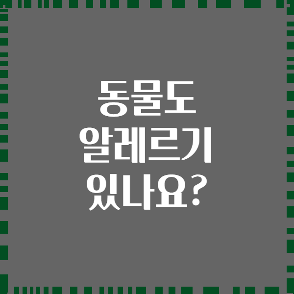 동물도 알레르기 있나요?