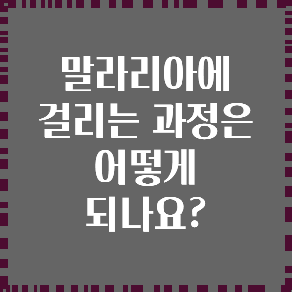 말라리아에 걸리는 과정은 어떻게 되나요?