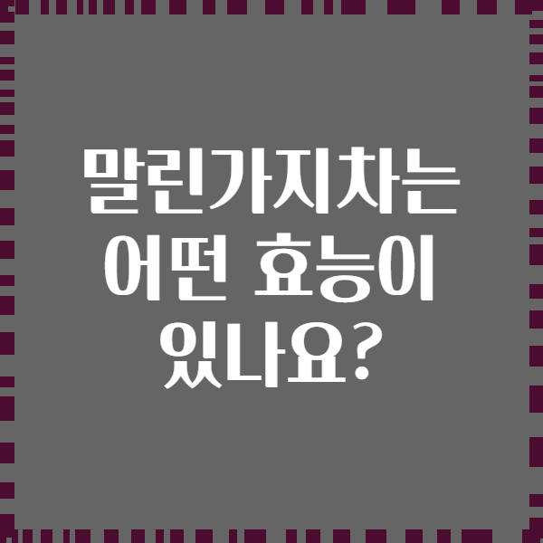 말린가지차는 어떤 효능이 있나요?