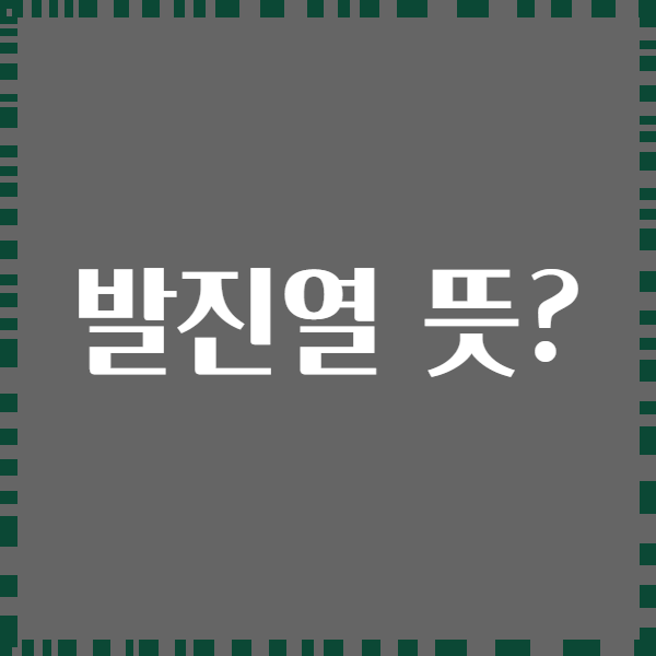 발진열 뜻?
