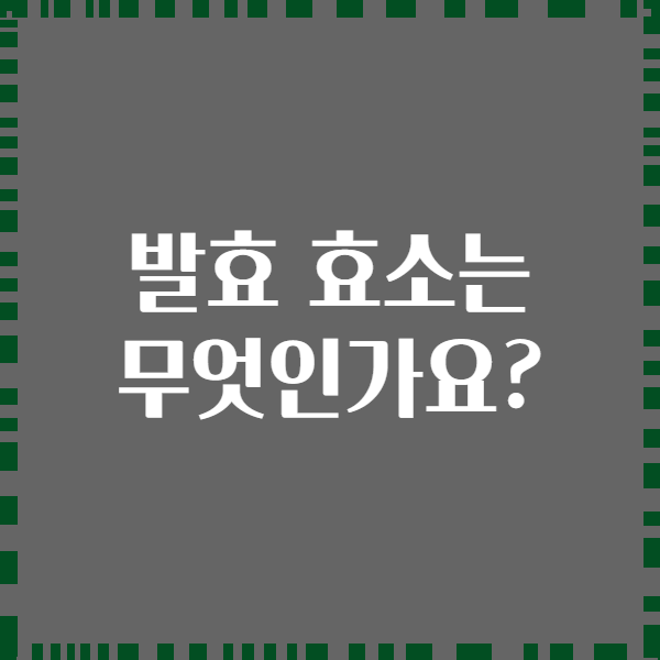 발효 효소는 무엇인가요?