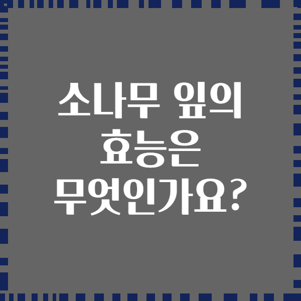 소나무 잎의 효능은 무엇인가요?