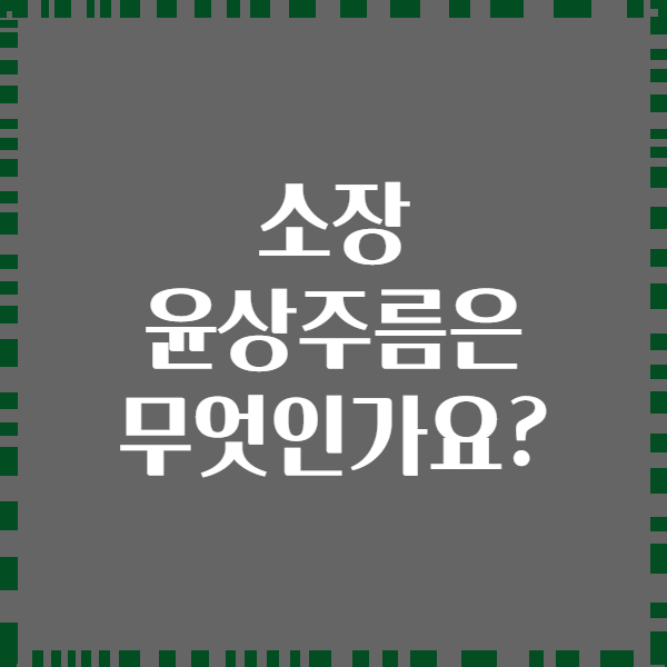 소장 윤상주름은 무엇인가요?